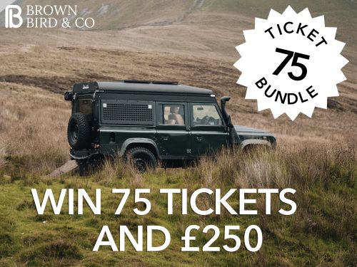 75 Free Tickets Bundle 2 Lundy Camper Product Listing